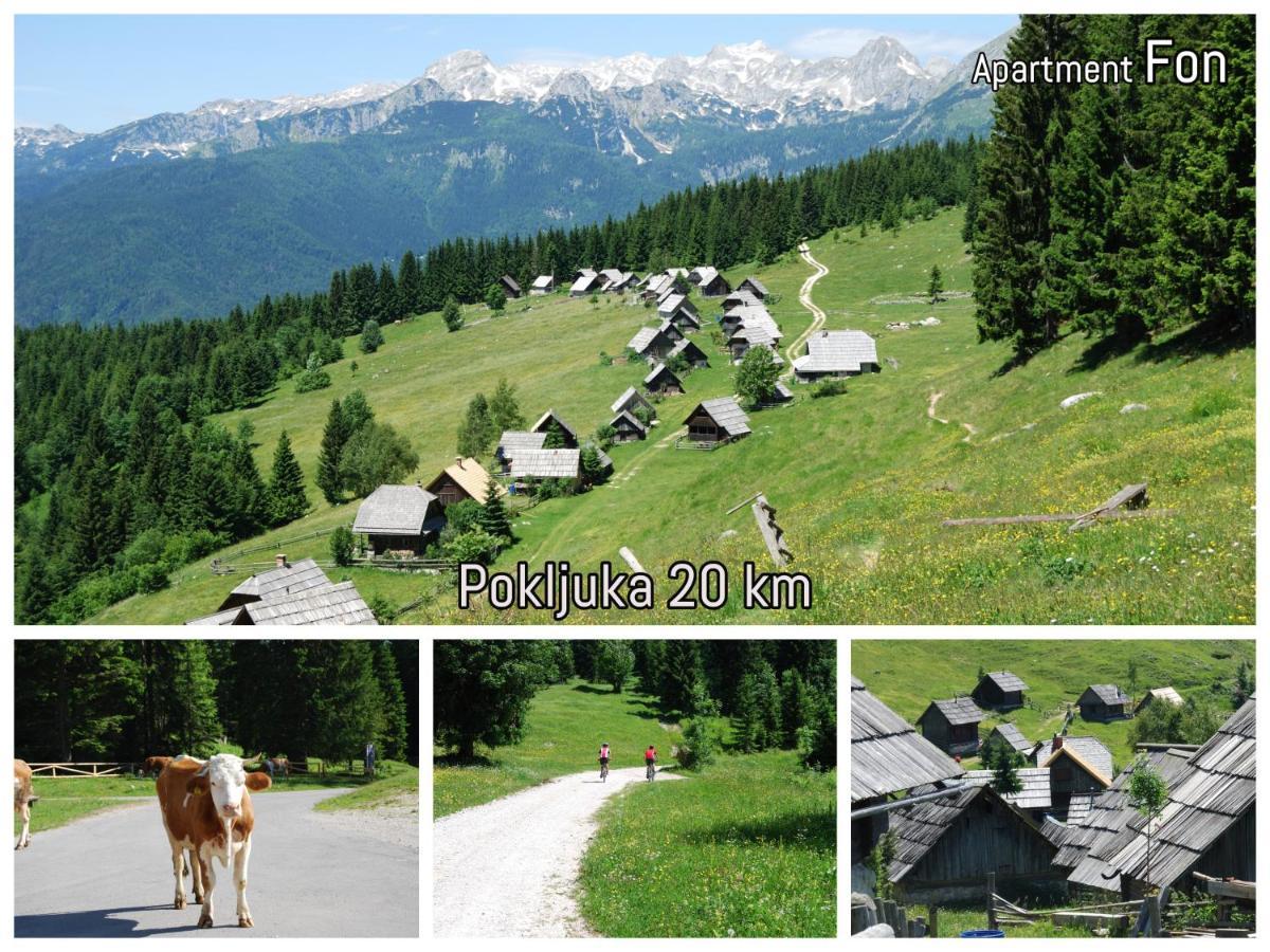 Apartment Fon Blejska Dobrava Kültér fotó